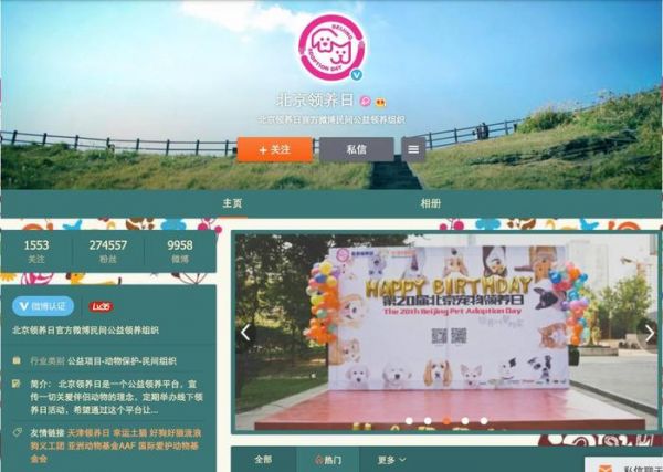 领养代替购买｜北京地区宠物救助中心，这些小生命正在等你！
