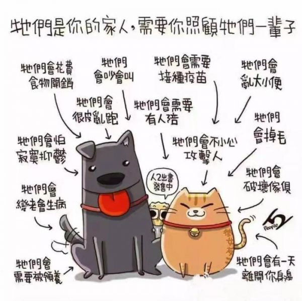 领养代替购买｜北京地区宠物救助中心，这些小生命正在等你！