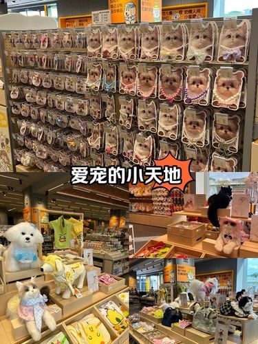 深圳开了！！！你的爱宠新天地