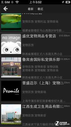 狗狗也有女神 动物社交平台"宠物约会" 