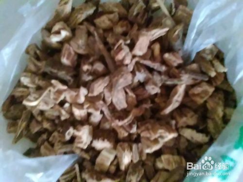 怎样安全快速的去除家宠身上的跳蚤和虱子