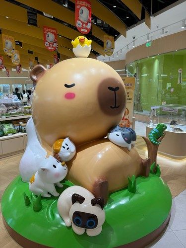 这里简直是宠物天堂啊……