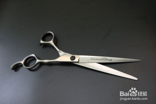 宠物美容常用的三种剪刀及其保养方法