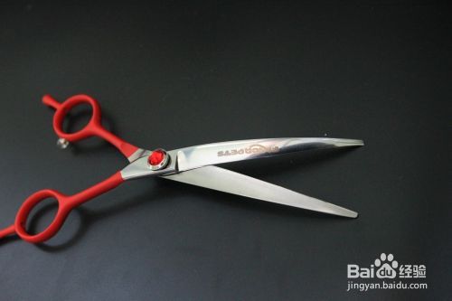 宠物美容常用的三种剪刀及其保养方法