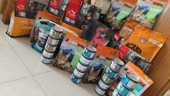 一文打尽进口 国产优质猫粮—双十一不同价位猫粮推荐
