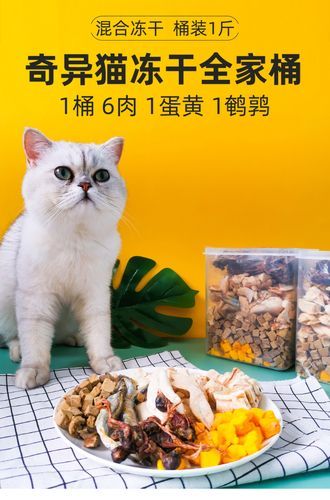 奇异宠物零食推荐