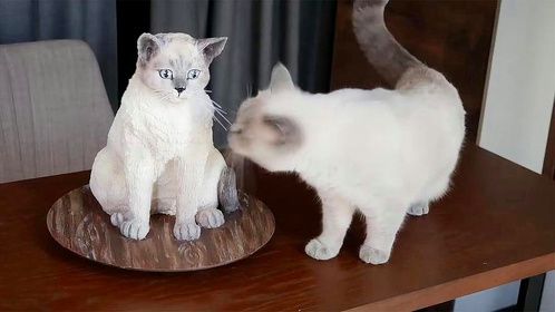 老外买回一只仿真猫蛋糕，故意一刀下去，猫咪的反应让主人笑喷