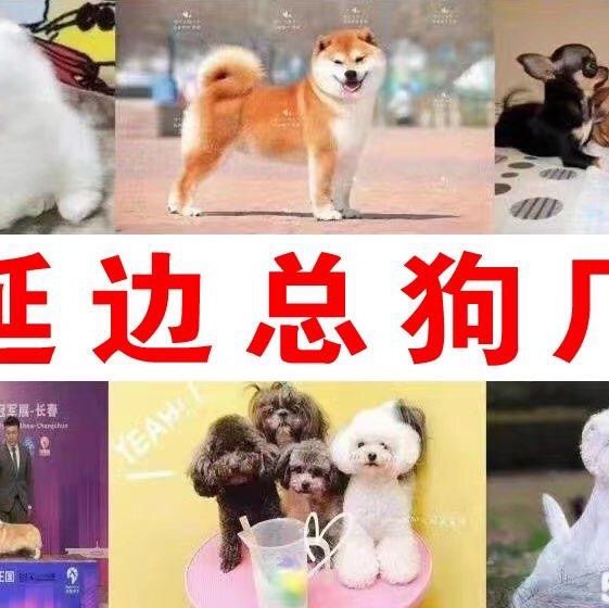 店主头像