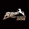 奔跑吧DOG