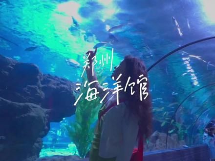 郑州海洋馆暑期特惠来啦！城市海底绿野仙踪来了#用魔法打开18度的夏天#夏日藏在城市的海底绿野仙踪 #郑州海洋馆 #旅行推荐官 #亲子游玩好去处