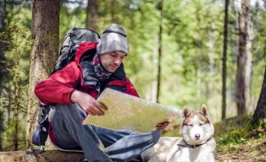 杜宾犬图片:哪些狗狗适合一起徒步旅行？