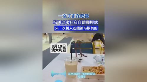 一女子正在吃饭，鸟飞过来开启自助餐模式，头一次见人还能被鸟欺负的