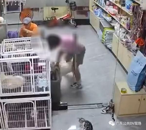拳头硬了！小女孩用推门虐猫致死！网友怒了，店长发声…