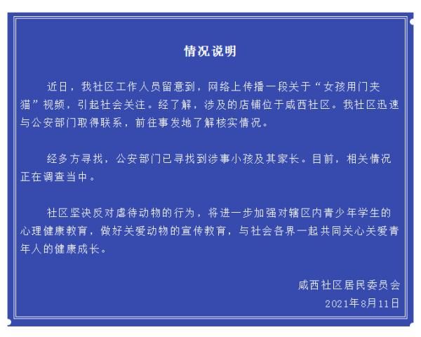 拳头硬了！小女孩用推门虐猫致死！网友怒了，店长发声…