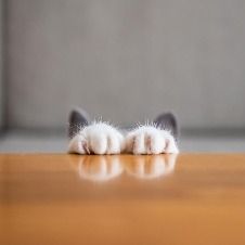 零食