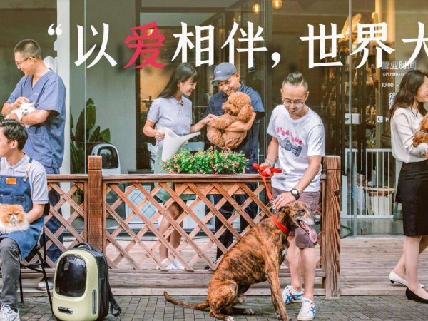 小佩宠物加盟