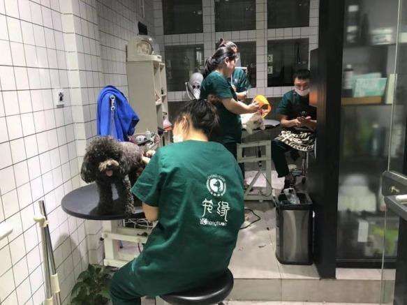 宠缘宠物加盟