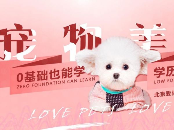 爱尚宠加盟