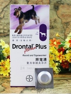 拜宠清加盟
