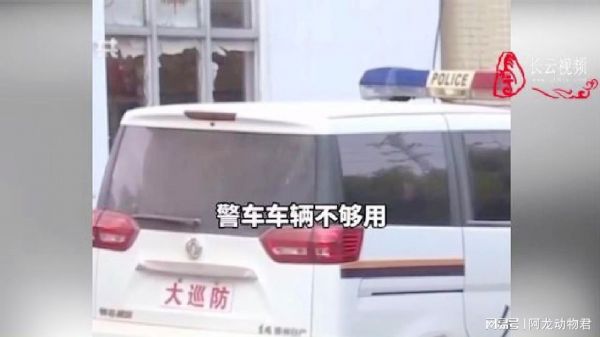 惠州博罗街头现无牌“警车”，警方回应：警车车辆不够用