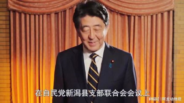 为何如此有自信？安倍：日本成为中美博弈火线