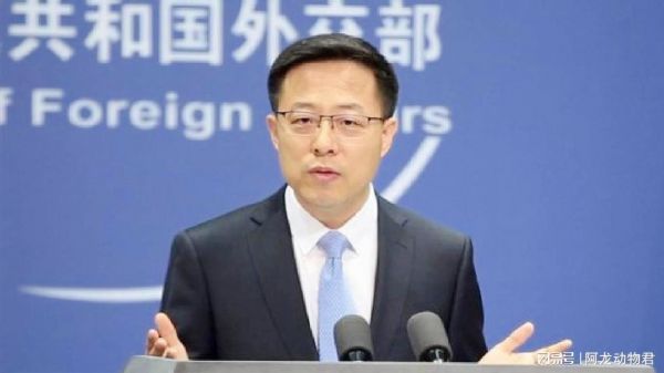 澳方悍然撕毁协议 装“受害者”给中国扣帽子 赵立坚回击不留情面