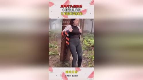 原来木头是假的，小姐姐是雇的，只有骗钱是真的！