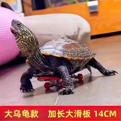 乌龟滑板宠物玩具鹦鹉滑板模型玩具手指迷你减压玩具搞笑高级diy