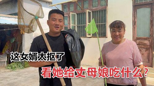 这女婿太抠了，为了做顿不花钱的午餐，竟带丈母娘下河摸螺蛳