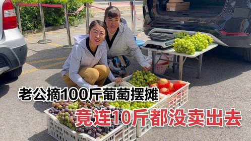 老公摘100斤葡萄去摆摊，结果连10斤都没卖出去，看媳妇如何处理