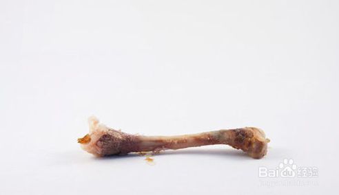 假如铲屎官爱它们，请让17种食物远离你的宠物！