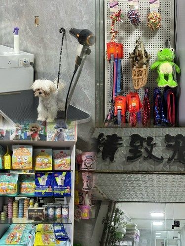 快乐宠物家，精致宠物‍⬛
