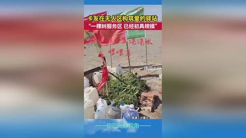 卡友在无人区构筑爱的驿站 “一棵树服务区 已经初具规模”