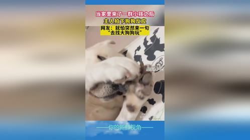 当家里来了一群小孩之后，主人拍下狗狗反应