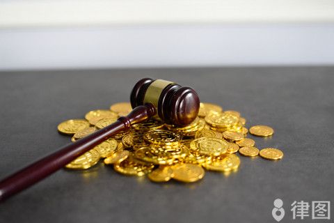 宠物狗咬人追求民事责任吗