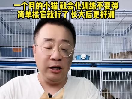 小猫一个月就可以稍微做社会化训练了，长大会更好训 #训猫 #猫咪训练 #猫社会化训练 #猫不亲人
