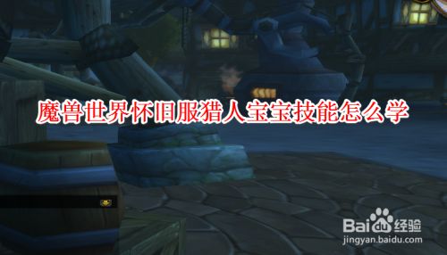 魔兽世界怀旧服猎人宝宝技能怎么学