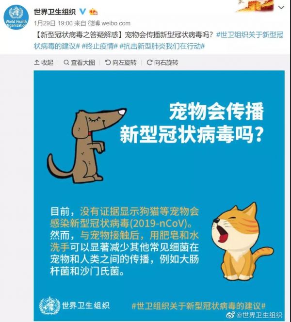 疫情期间可以遛狗么 如何帮助爱犬度过疫情