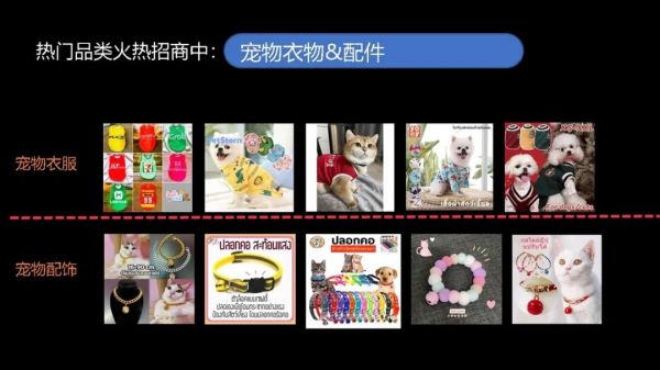 【宠物经济】新蓝海：精妙选品搭配创意短视频，引爆您的销售之路
