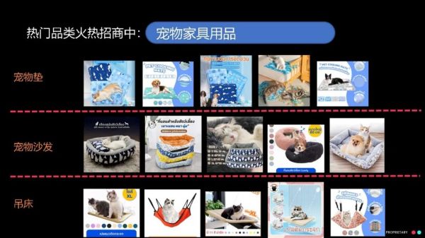 【宠物经济】新蓝海：精妙选品搭配创意短视频，引爆您的销售之路