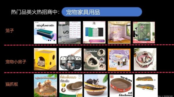 【宠物经济】新蓝海：精妙选品搭配创意短视频，引爆您的销售之路