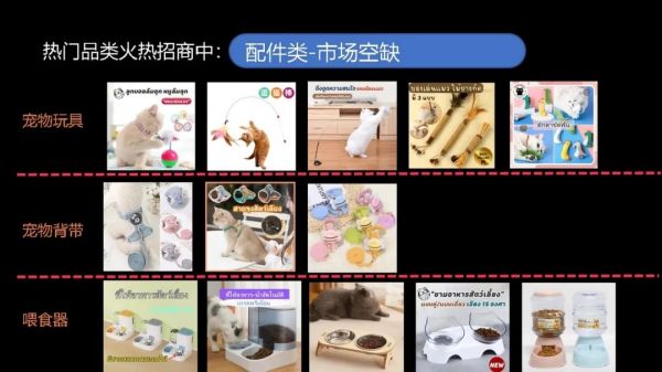 【宠物经济】新蓝海：精妙选品搭配创意短视频，引爆您的销售之路