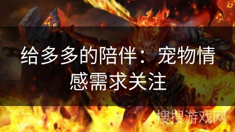给多多的陪伴：宠物情感需求关注