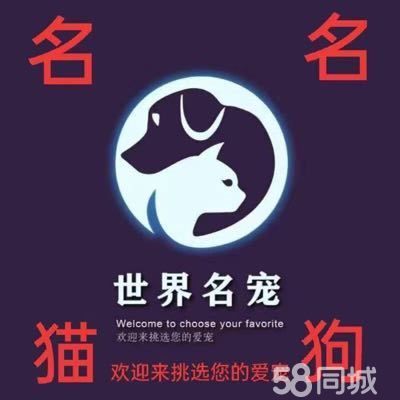 店主头像
