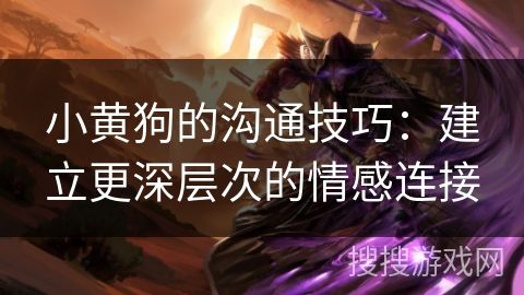 小黄狗的沟通技巧：建立更深层次的情感连接