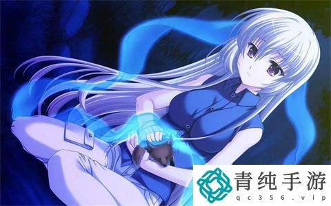 面对跪着的主人：宠物与人类之间的情感连接与责任感