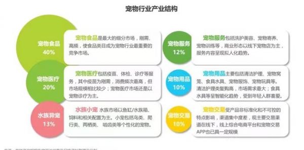 宠物领域全方位指南：专业创作者解答养宠疑难杂症与热门话题