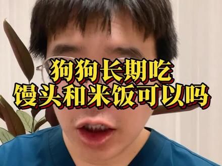 建议大家喂狗饭 #养狗经验分享#新手养狗#狗狗