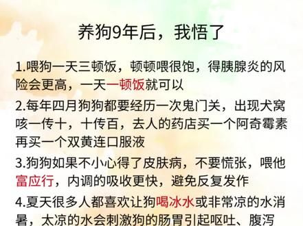 养狗9年后，我悟了#狗狗皮肤病 #养狗经验分享 #新手养狗