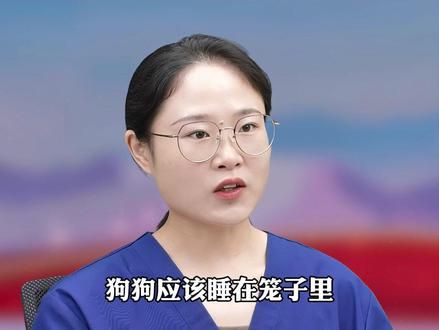狗狗绝对不能睡在床上或者沙发上 #养狗经验分享 #科学养宠攻略 #狗是人类最忠诚的朋友 #养狗人 #新手养狗